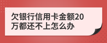 欠银行信用卡金额20万都还不上怎么办