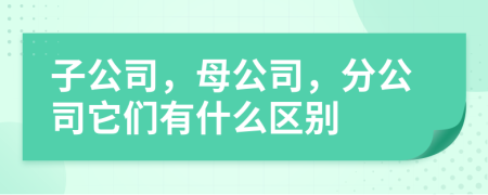 子公司，母公司，分公司它们有什么区别