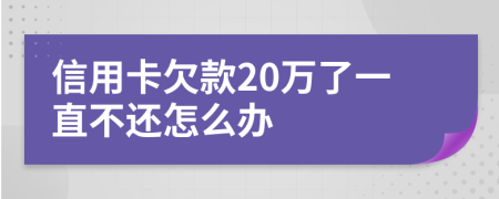 信用卡欠款20万了一直不还怎么办