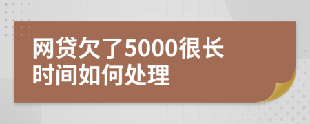 网贷欠了5000很长时间如何处理