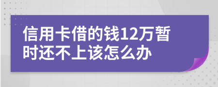 信用卡借的钱12万暂时还不上该怎么办