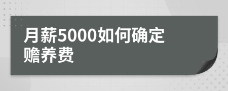 月薪5000如何确定赡养费