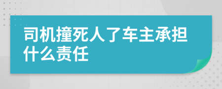 司机撞死人了车主承担什么责任