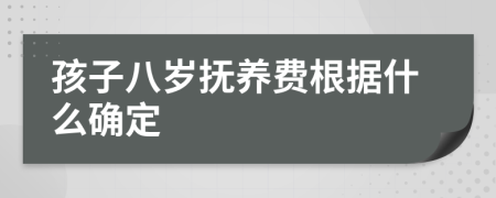 孩子八岁抚养费根据什么确定