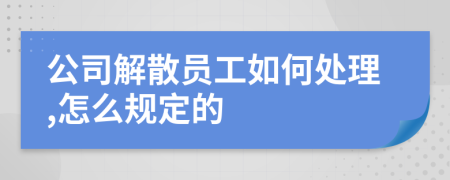 公司解散员工如何处理,怎么规定的