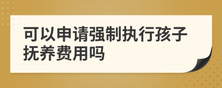 可以申请强制执行孩子抚养费用吗