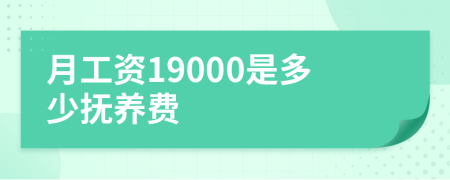 月工资19000是多少抚养费