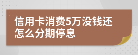 信用卡消费5万没钱还怎么分期停息