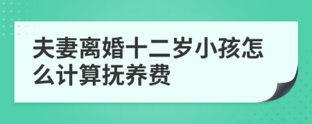 夫妻离婚十二岁小孩怎么计算抚养费