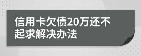 信用卡欠债20万还不起求解决办法