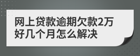 网上贷款逾期欠款2万好几个月怎么解决