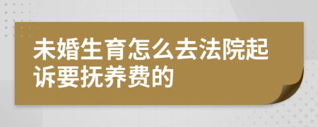 未婚生育怎么去法院起诉要抚养费的