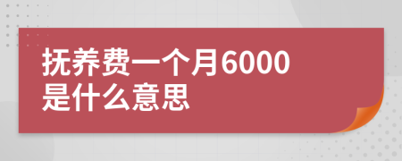 抚养费一个月6000是什么意思