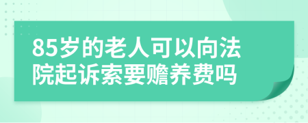 85岁的老人可以向法院起诉索要赡养费吗