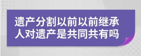 遗产分割以前以前继承人对遗产是共同共有吗
