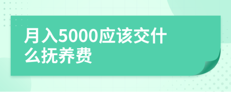 月入5000应该交什么抚养费