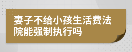 妻子不给小孩生活费法院能强制执行吗