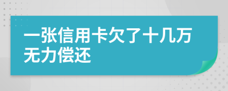 一张信用卡欠了十几万无力偿还