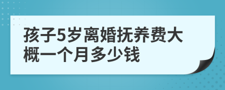 孩子5岁离婚抚养费大概一个月多少钱