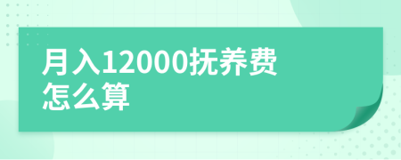 月入12000抚养费怎么算