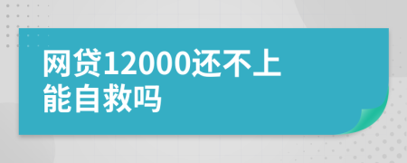 网贷12000还不上能自救吗