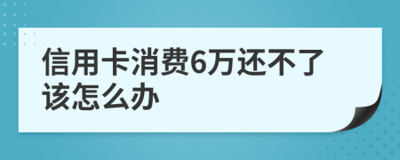 信用卡消费6万还不了该怎么办