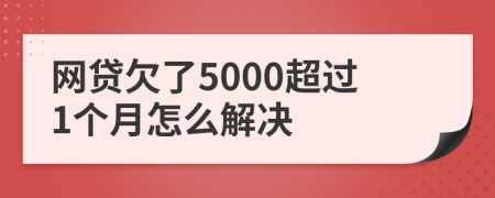 网贷欠了5000超过1个月怎么解决