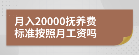 月入20000抚养费标准按照月工资吗