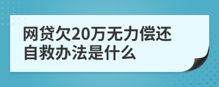 网贷欠20万无力偿还自救办法是什么