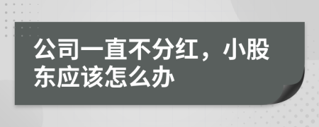 公司一直不分红，小股东应该怎么办