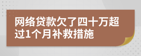 网络贷款欠了四十万超过1个月补救措施