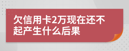 欠信用卡2万现在还不起产生什么后果