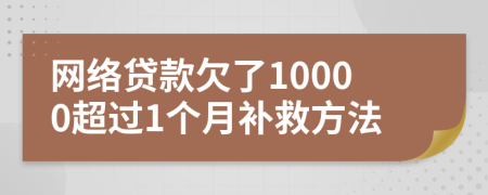 网络贷款欠了10000超过1个月补救方法
