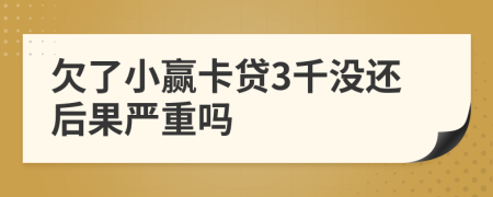 欠了小赢卡贷3千没还后果严重吗