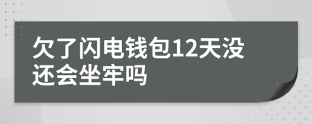 欠了闪电钱包12天没还会坐牢吗