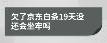 欠了京东白条19天没还会坐牢吗