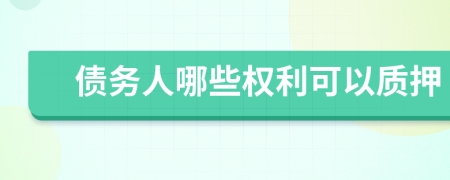 债务人哪些权利可以质押