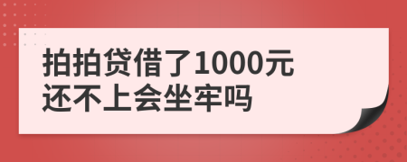 拍拍贷借了1000元还不上会坐牢吗