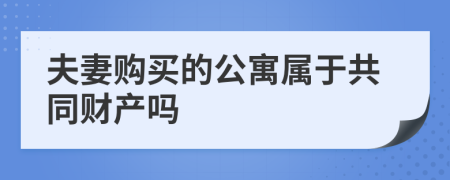 夫妻购买的公寓属于共同财产吗