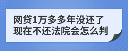 网贷1万多多年没还了现在不还法院会怎么判