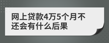 网上贷款4万5个月不还会有什么后果