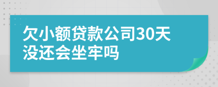 欠小额贷款公司30天没还会坐牢吗