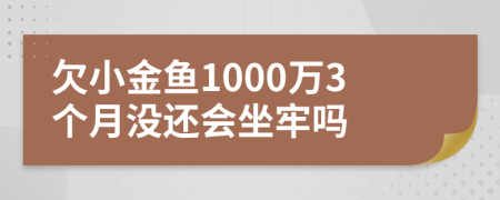 欠小金鱼1000万3个月没还会坐牢吗