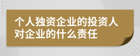 个人独资企业的投资人对企业的什么责任