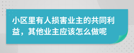 小区里有人损害业主的共同利益，其他业主应该怎么做呢