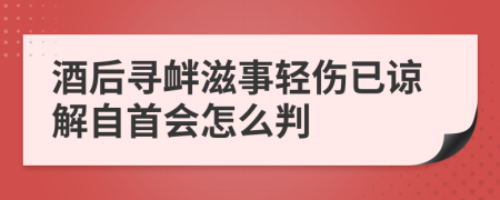 酒后寻衅滋事轻伤已谅解自首会怎么判