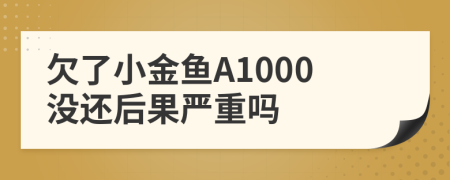 欠了小金鱼A1000没还后果严重吗