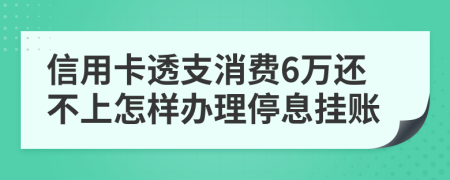 信用卡透支消费6万还不上怎样办理停息挂账