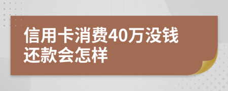 信用卡消费40万没钱还款会怎样