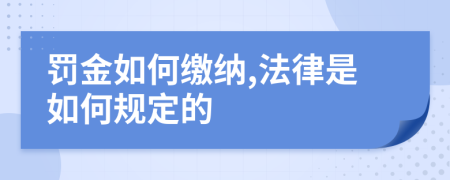 罚金如何缴纳,法律是如何规定的